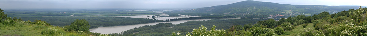 Donauhochwasser Braunsberg