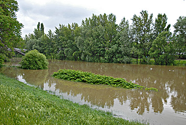 Hochwasser 2013 Erdberger Steg